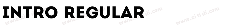 INTRO REGULAR字体转换